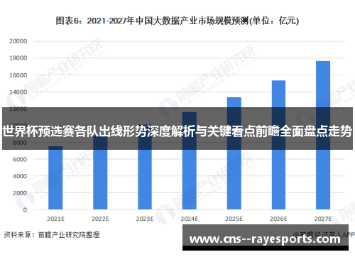 世界杯预选赛各队出线形势深度解析与关键看点前瞻全面盘点走势