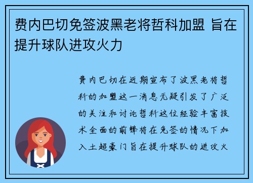 费内巴切免签波黑老将哲科加盟 旨在提升球队进攻火力